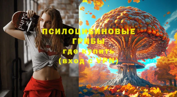 тгк Бородино